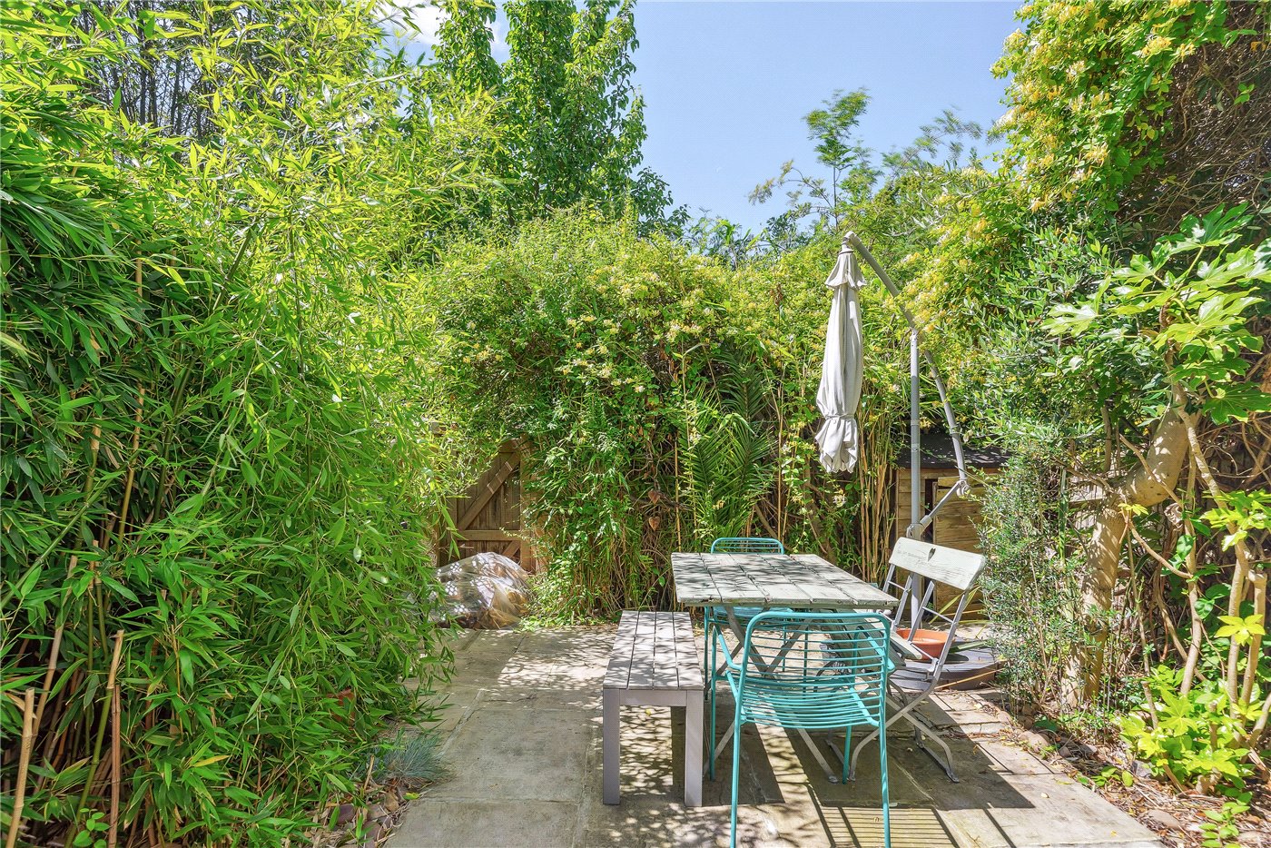 Garden